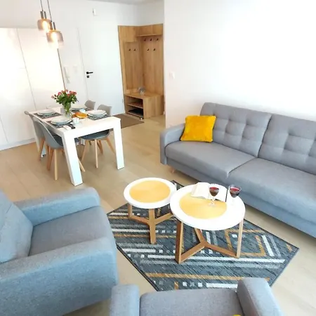 公寓 Posesja Kapitanska-apartamenty Premium 格里兹鲍