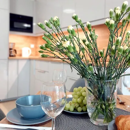 Apartment Posesja Kapitanska-apartamenty Premium Grzybowo (West Pomeranian)